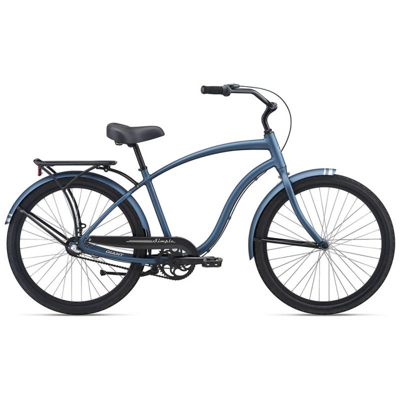 Giant discount blue bike