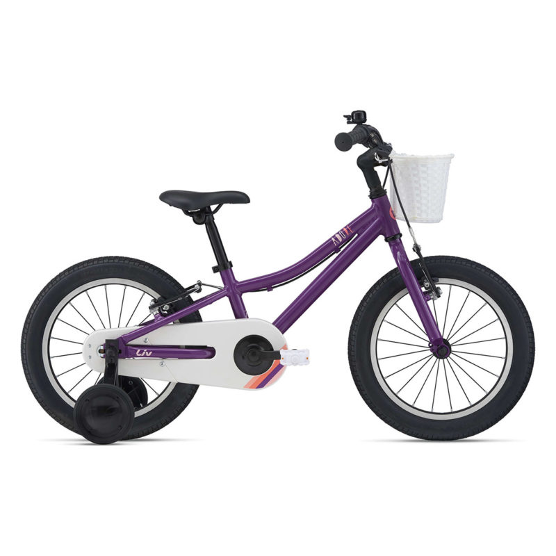 Plum-Colored Giant Bicycles UAE Product