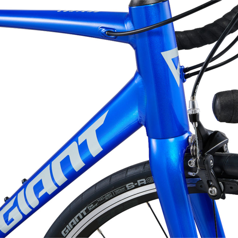 Frame of Contend 2 In Cobalt - Giant Bicycle UAE