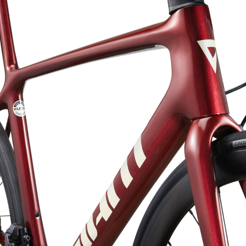 Frame of TCR Advanced SL 1 Disc In Sangria - Giant Bicycle UAE